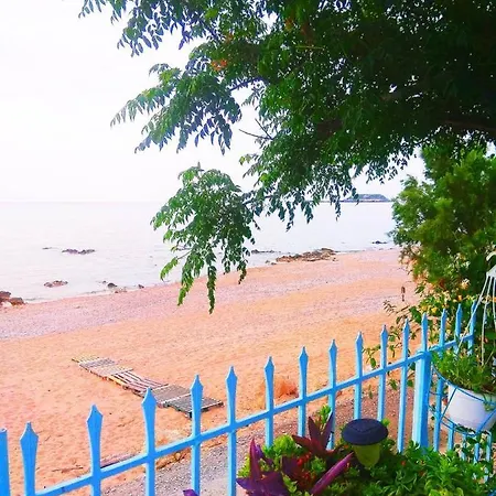 Vama Stegna