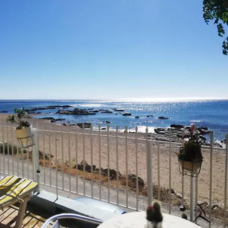 Vama Stegna