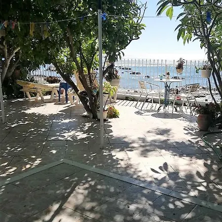 Vama Stegna