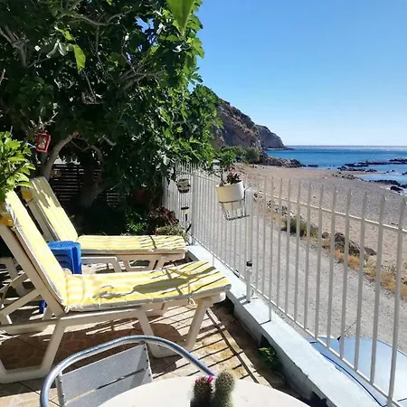 Vama Stegna *